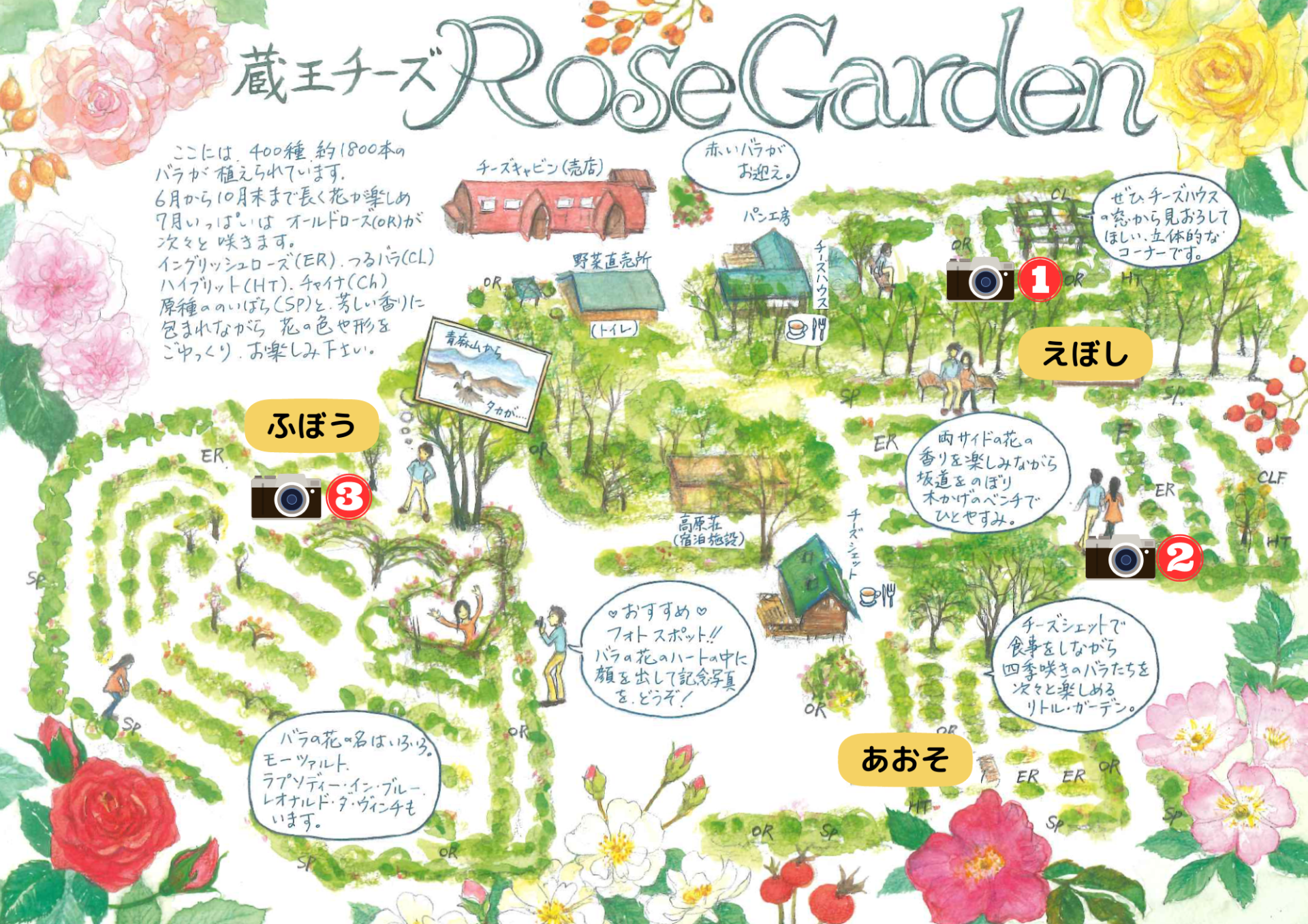バラ園情報🌹6月2日 | 蔵王酪農センター