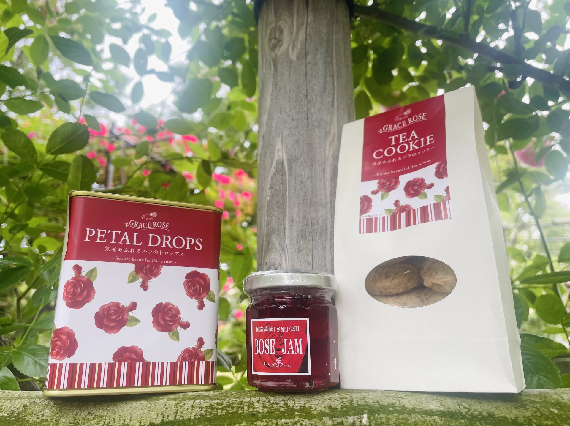 蔵王チーズ【バラ園開花情報】6月11日(火) | 蔵王酪農センター