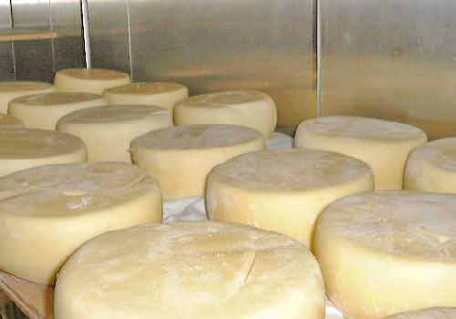 蔵王チーズ工場