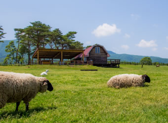 ふれあい牧場　ハートランド