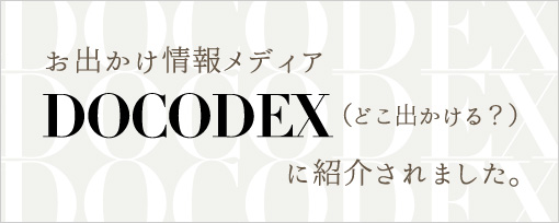 DOCODEX